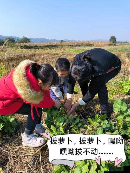 旅行者和丽莎拔萝卜视频：一场充满欢乐与惊喜的田园之旅