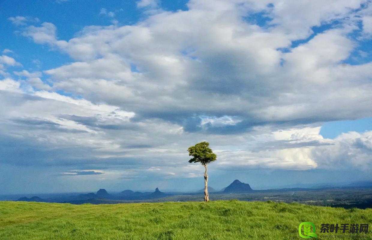 去姥姥家的路上进入了：一场奇妙的旅程