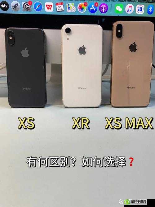 IPHONEXSMAX欧美高级已修复了吗：用户最为关心的问题探讨