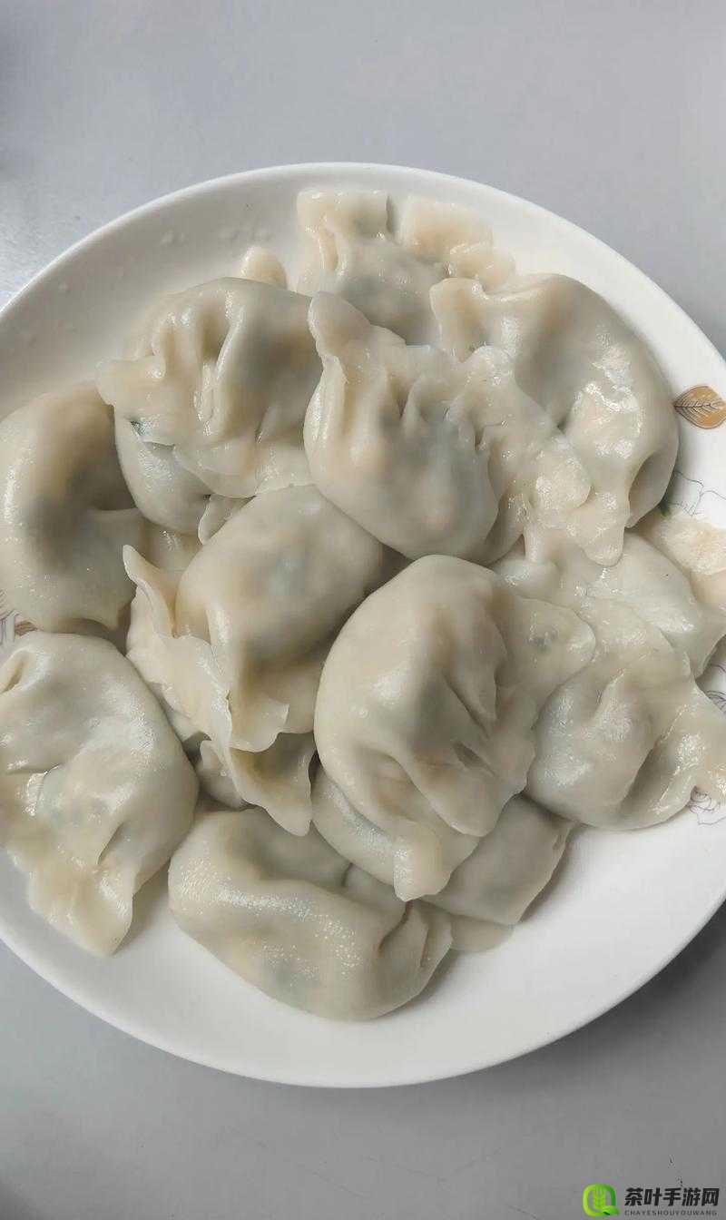 肉上瘾了怎么办？快试试肉馅小水饺